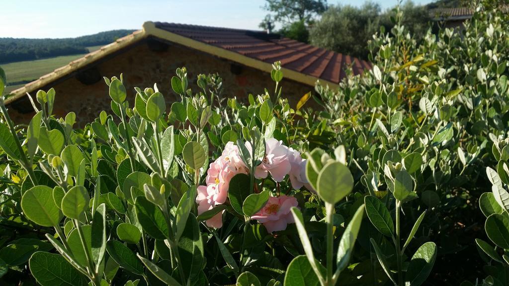 Agriturismo Il Cerrosughero Villa Scarlino Exteriör bild